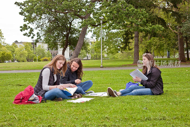 Studying Outside